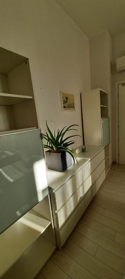 Intero Appartamento Lgbtq+ Zona Loreto 米兰 外观 照片